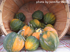 Basket Of Acorn Squash